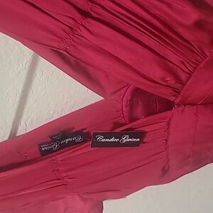 NWT 100% Silk 'Rare' Trashy Diva Candice Gwinn Fushia Hot Pink 1940s Dress 2